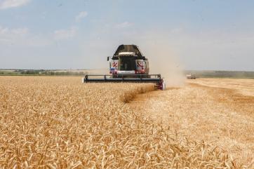 МСХ РФ определил цены для введения интервенций на рынке сахара и зерна